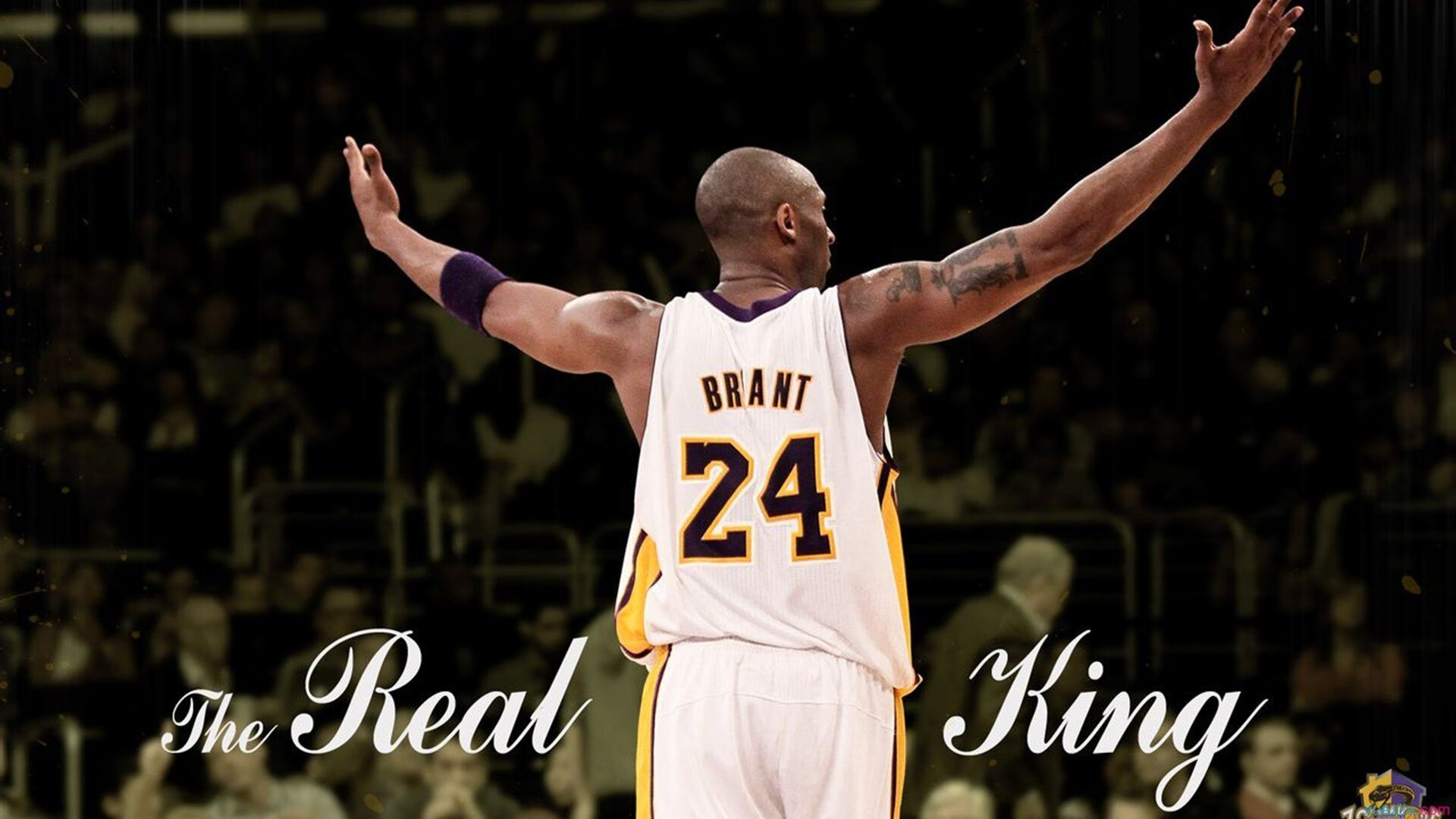 “马丁·高尔西的成长与突破，推动阿根廷美洲狮队逐步成为世界强队”