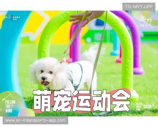 运动“萌宠”助阵：赛场上最“萌”的“好友”！